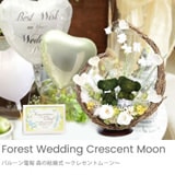 森の結婚式 ～クレセントムーン～画像